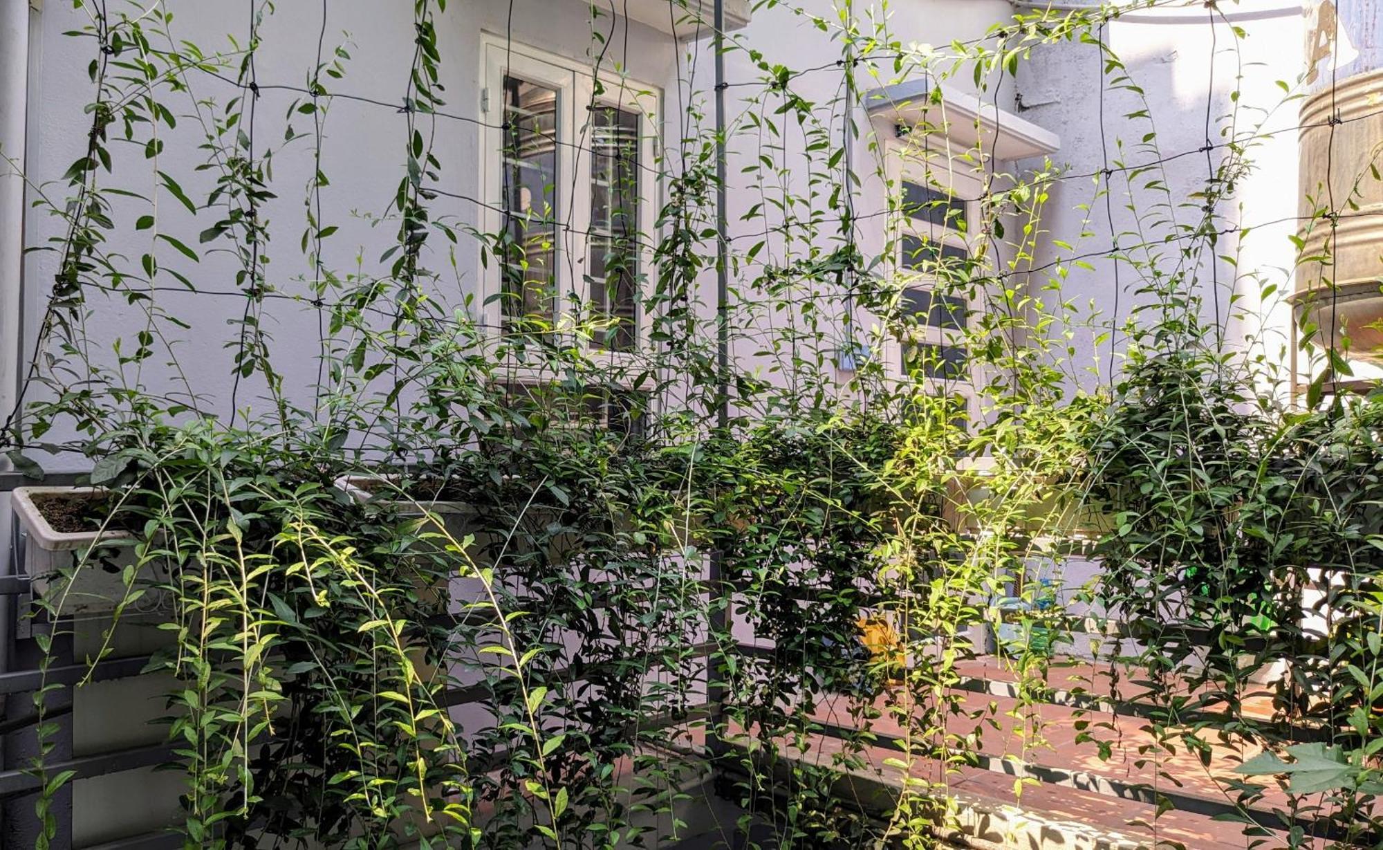 Goc Nho Ha Noi Homestay Hanoj Exteriér fotografie